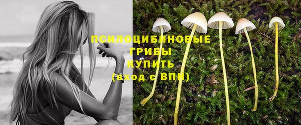 мет Володарск