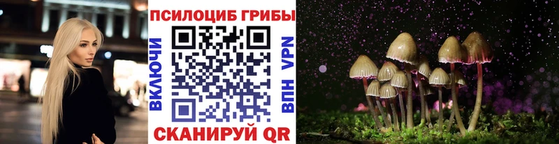 купить   Плёс  Галлюциногенные грибы ЛСД 